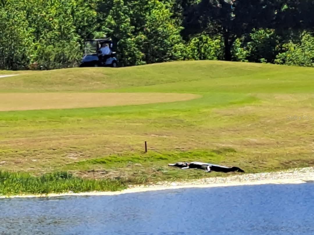 1530 LEXINGTON AV AVE, DAVENPORT, FL, 33837