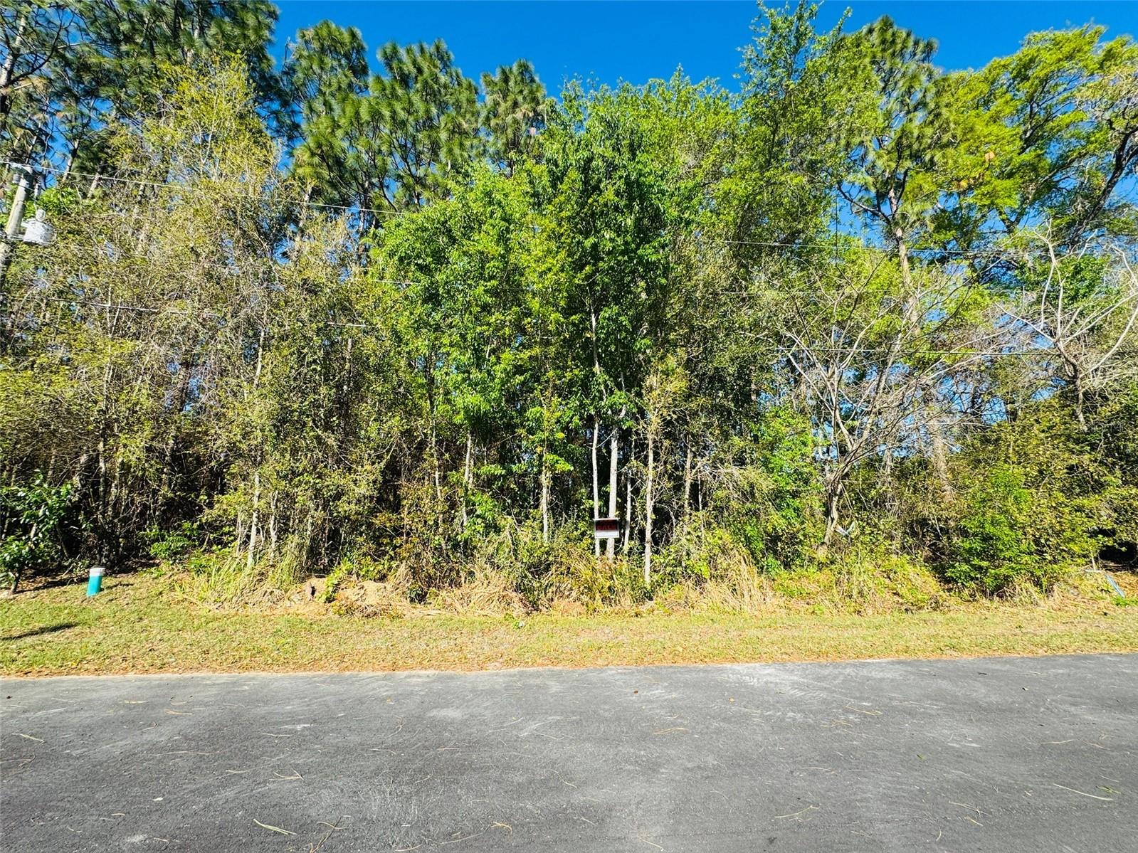 SILVER WAY CT, OCALA, FL, 34472