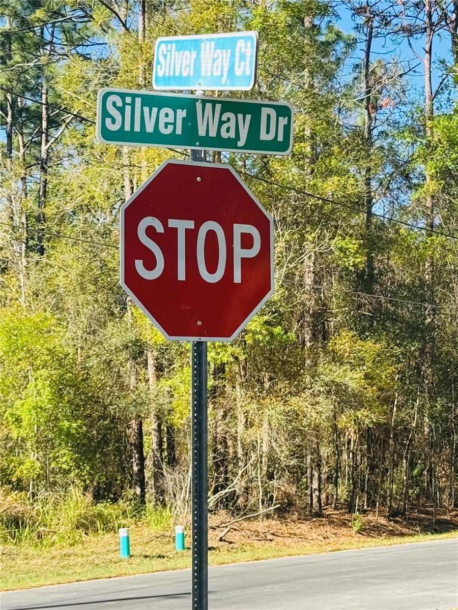 SILVER WAY CT, OCALA, FL, 34472