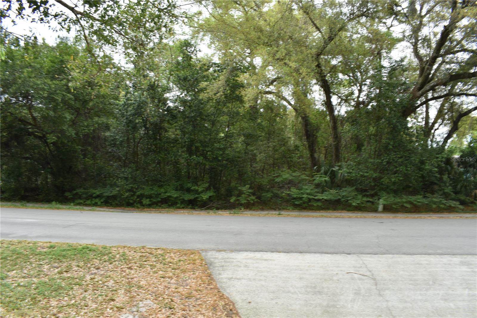 N LEAVITT AVE, ORANGE CITY, FL, 32763