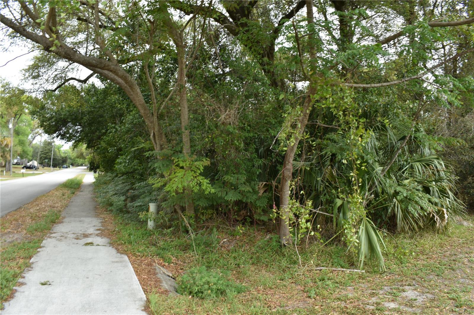 N LEAVITT AVE, ORANGE CITY, FL, 32763