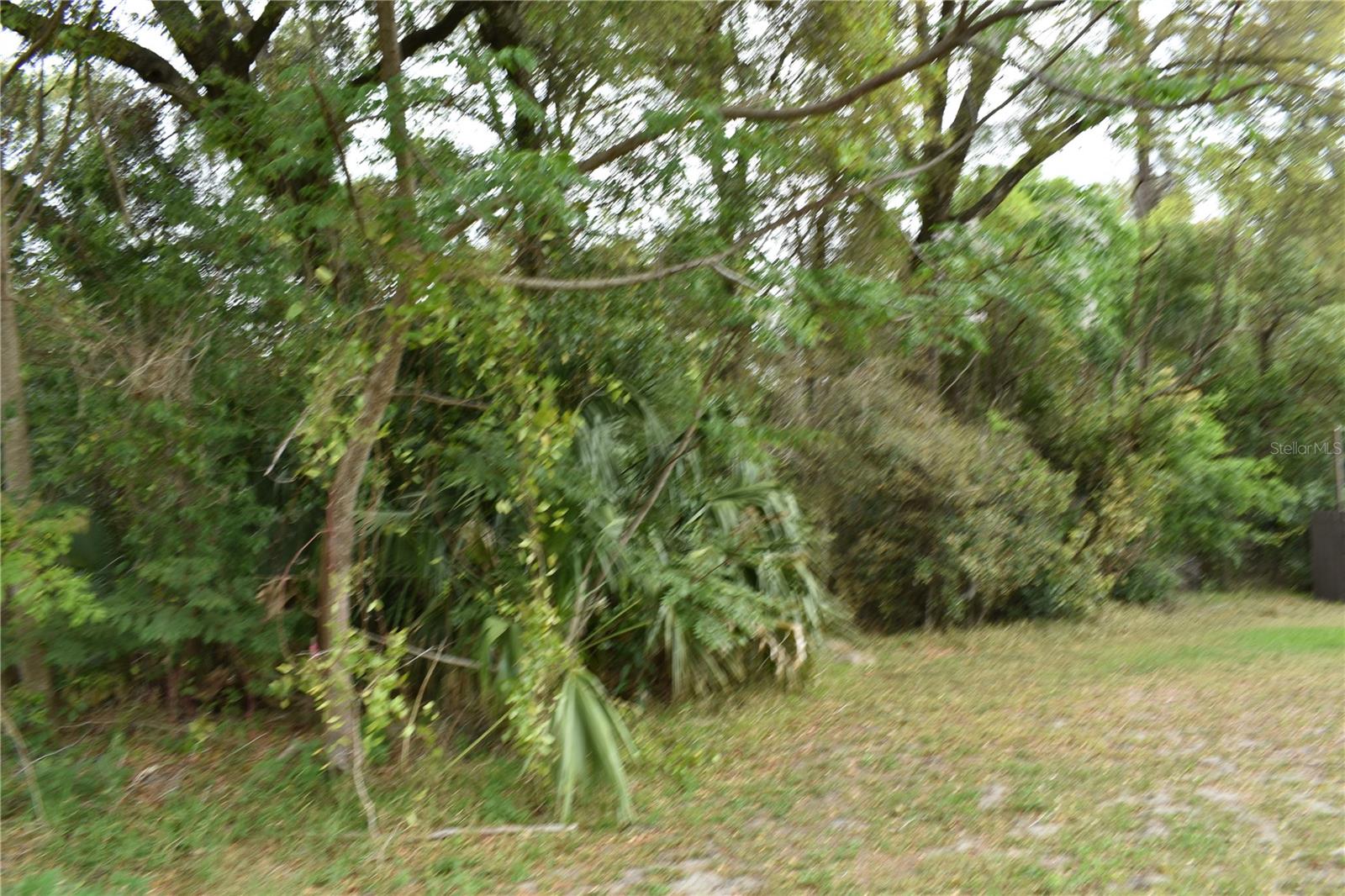N LEAVITT AVE, ORANGE CITY, FL, 32763