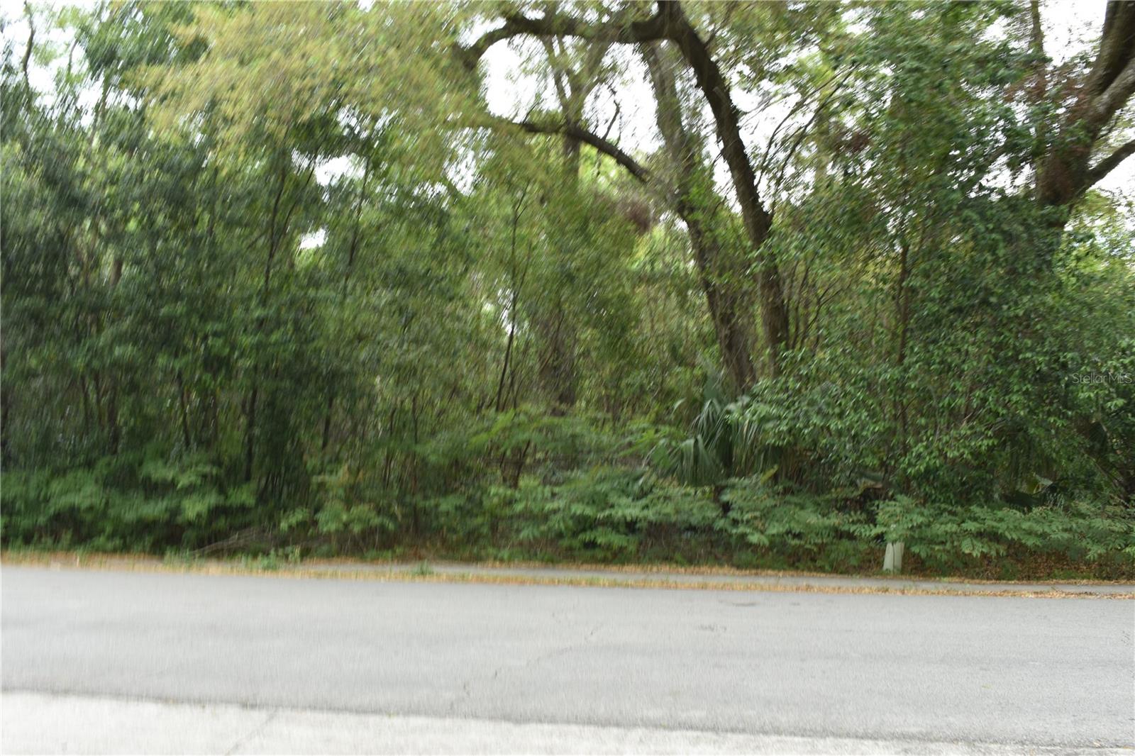 N LEAVITT AVE, ORANGE CITY, FL, 32763
