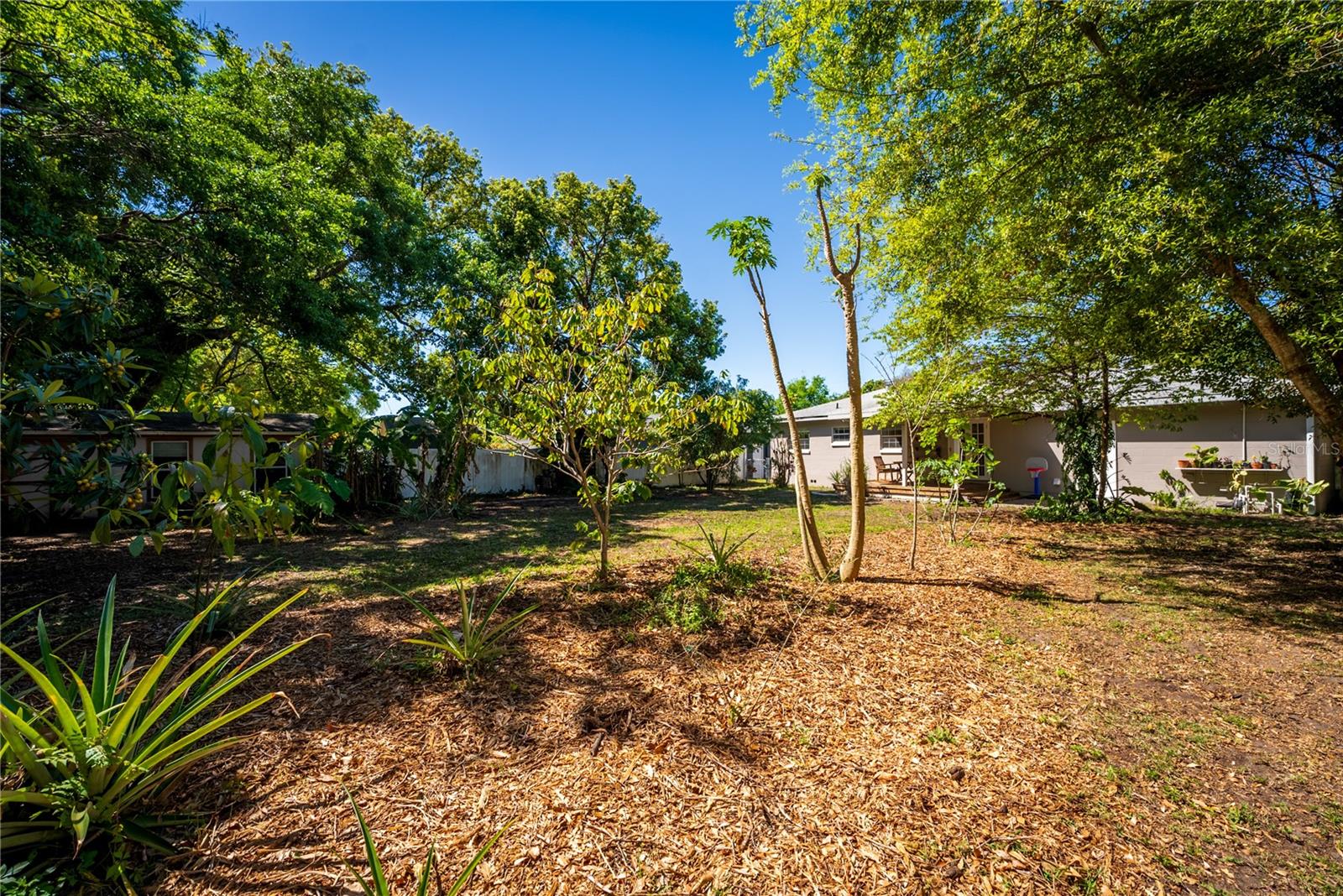 541 MERIDALE AVE, ORLANDO, FL, 32803