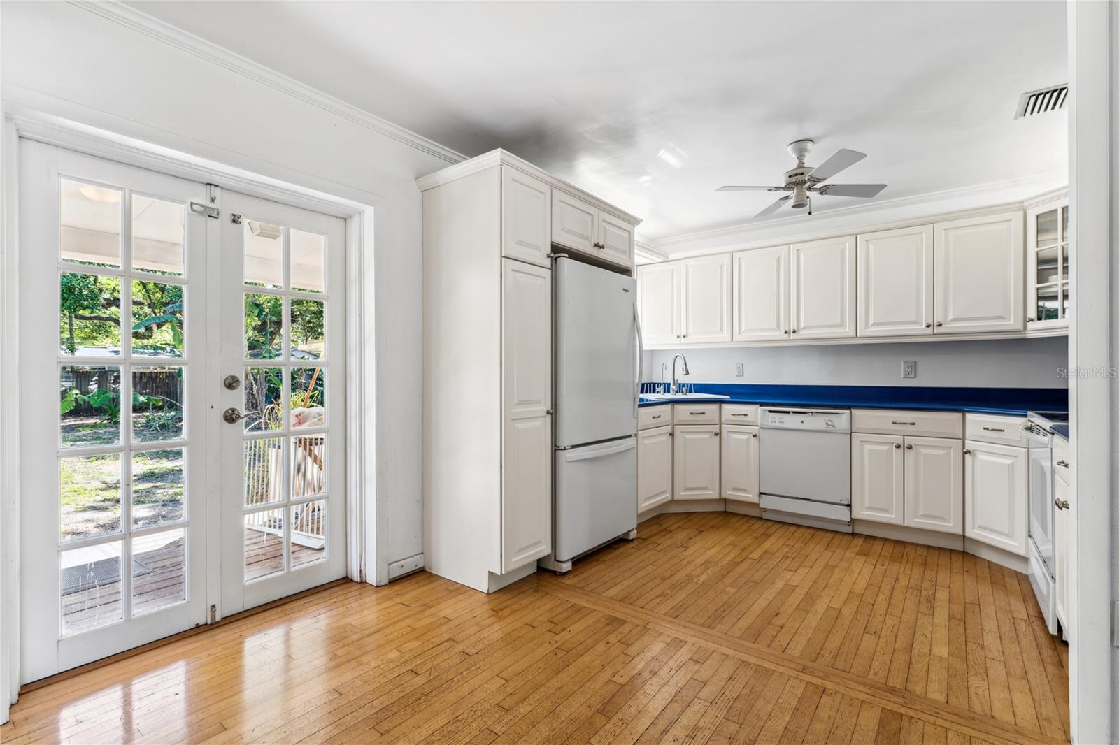 541 MERIDALE AVE, ORLANDO, FL, 32803
