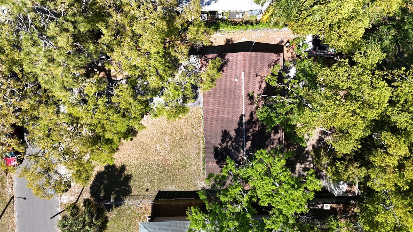 7303 N BRANCH AVE, TAMPA, FL, 33604
