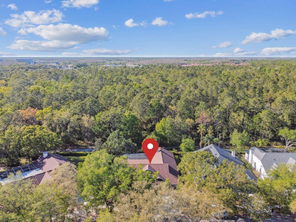 8726 TANTALLON CIR, TAMPA, FL, 33647