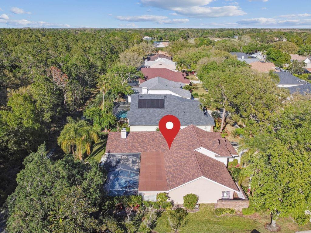 8726 TANTALLON CIR, TAMPA, FL, 33647