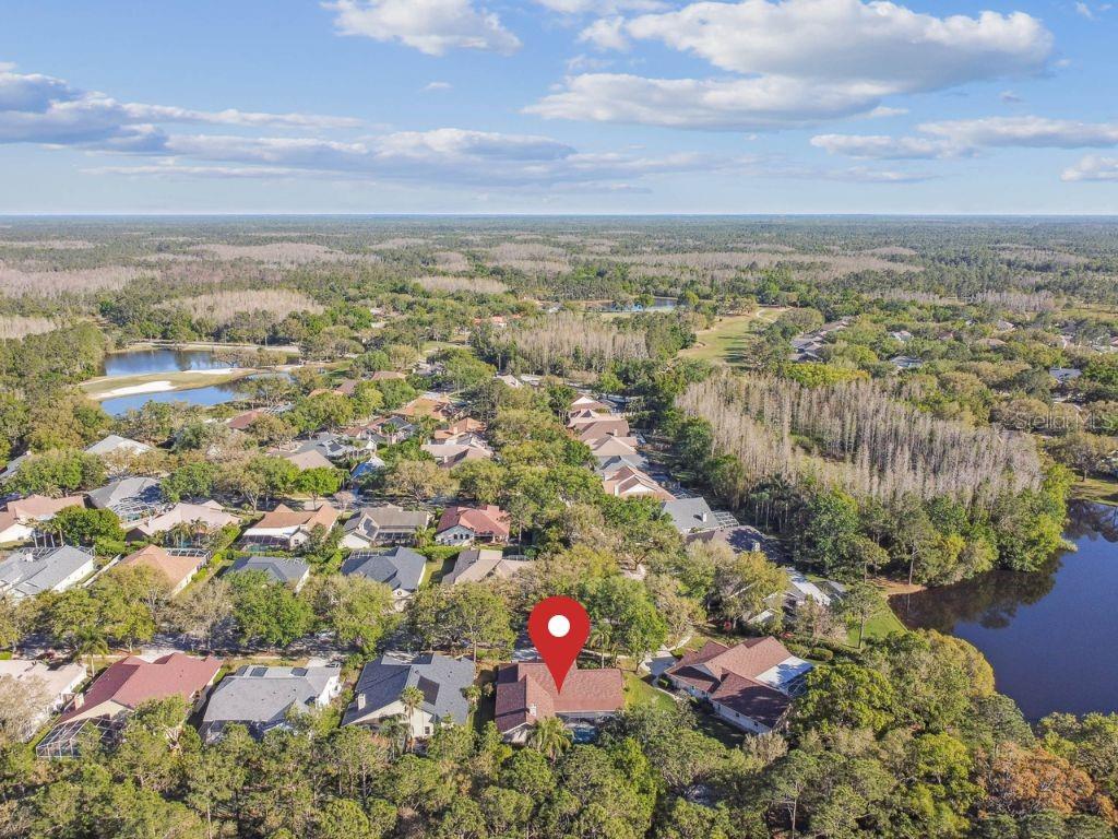 8726 TANTALLON CIR, TAMPA, FL, 33647