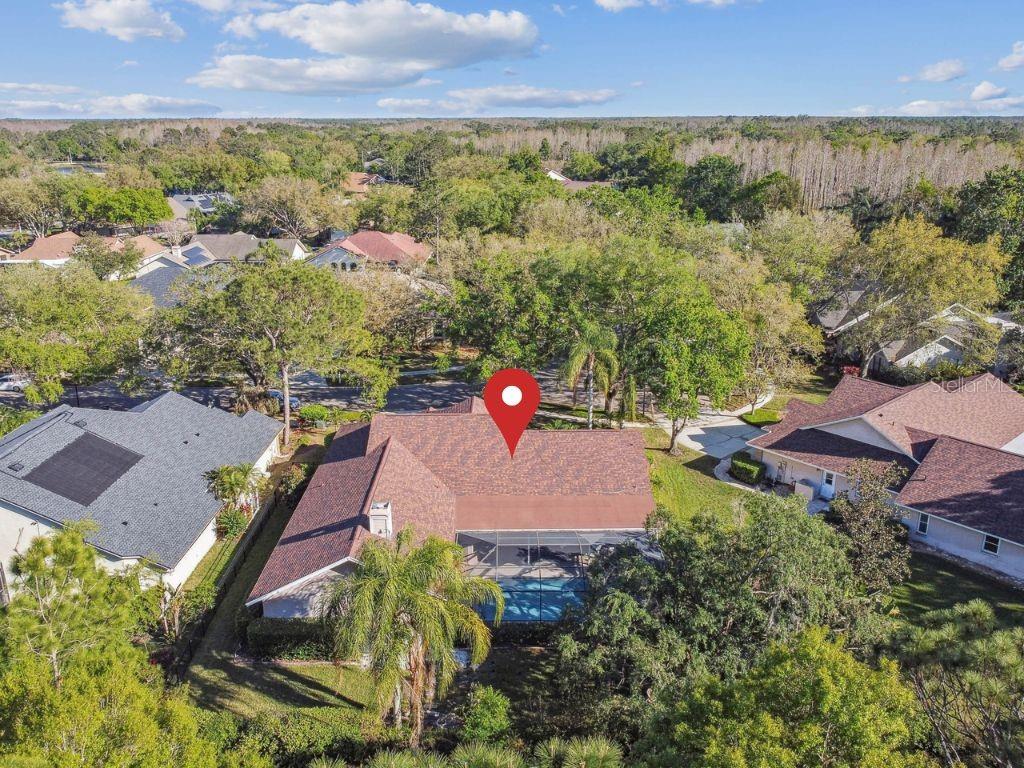 8726 TANTALLON CIR, TAMPA, FL, 33647