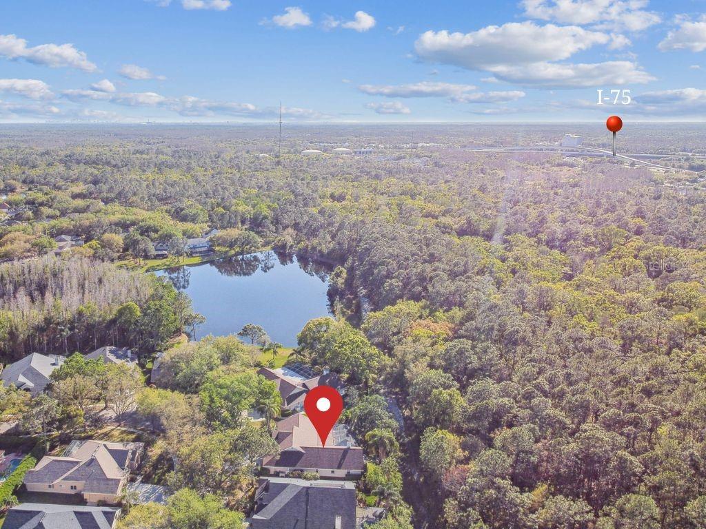 8726 TANTALLON CIR, TAMPA, FL, 33647