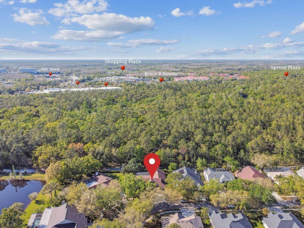 8726 TANTALLON CIR, TAMPA, FL, 33647