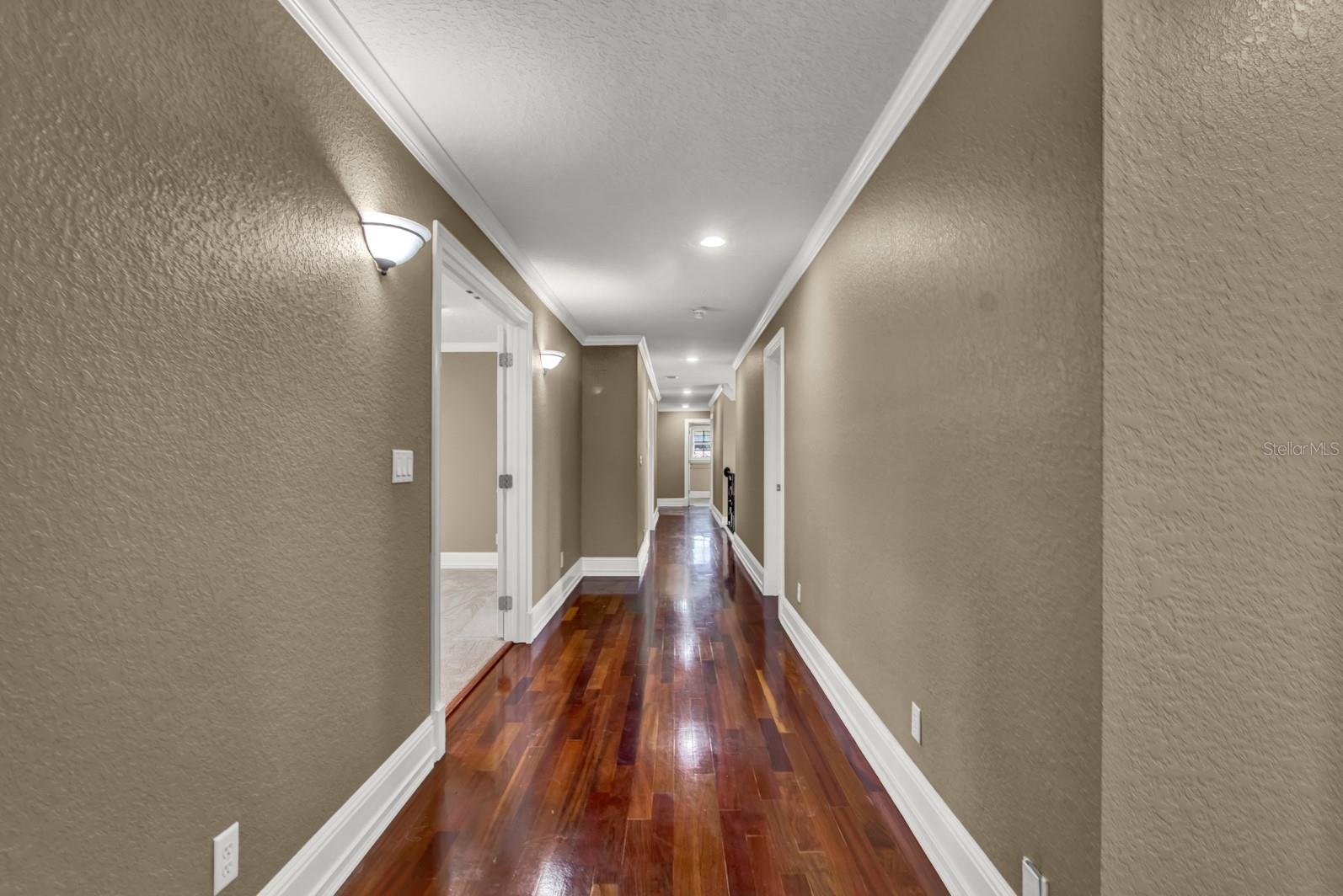 3414 COCARD CT, WINDERMERE, FL, 34786