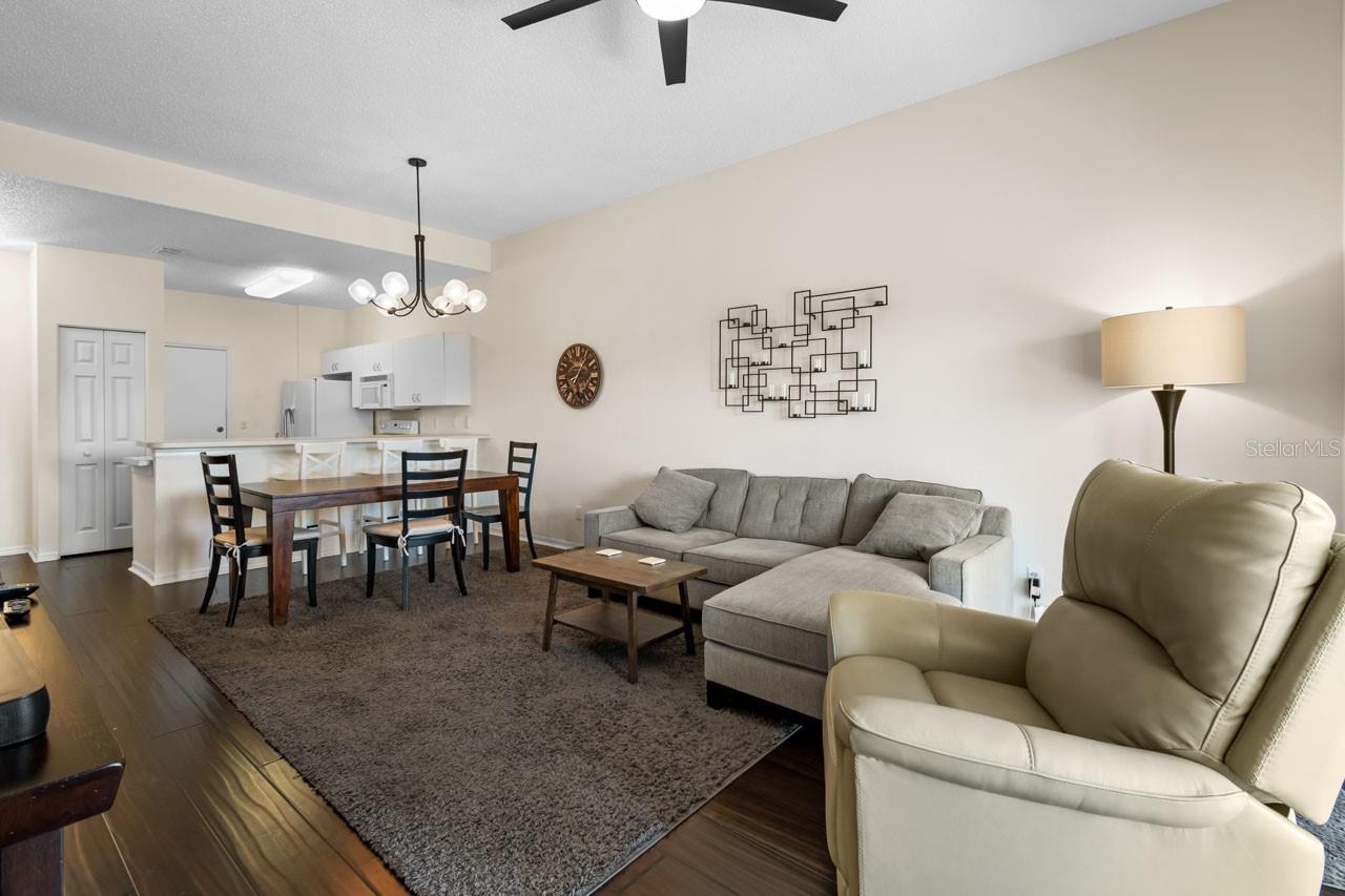 1120 RADISON AVE #6, SUN CITY CENTER, FL, 33573