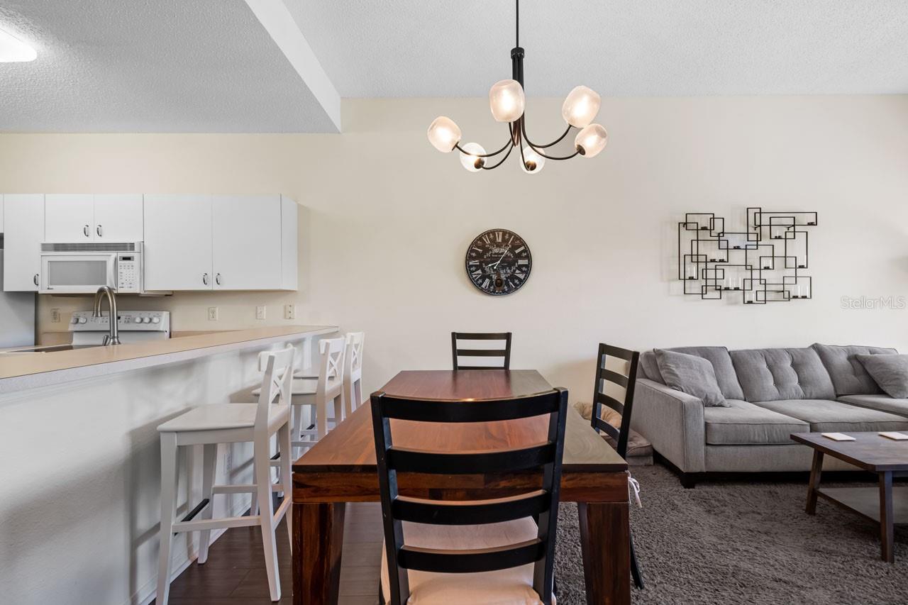 1120 RADISON AVE #6, SUN CITY CENTER, FL, 33573