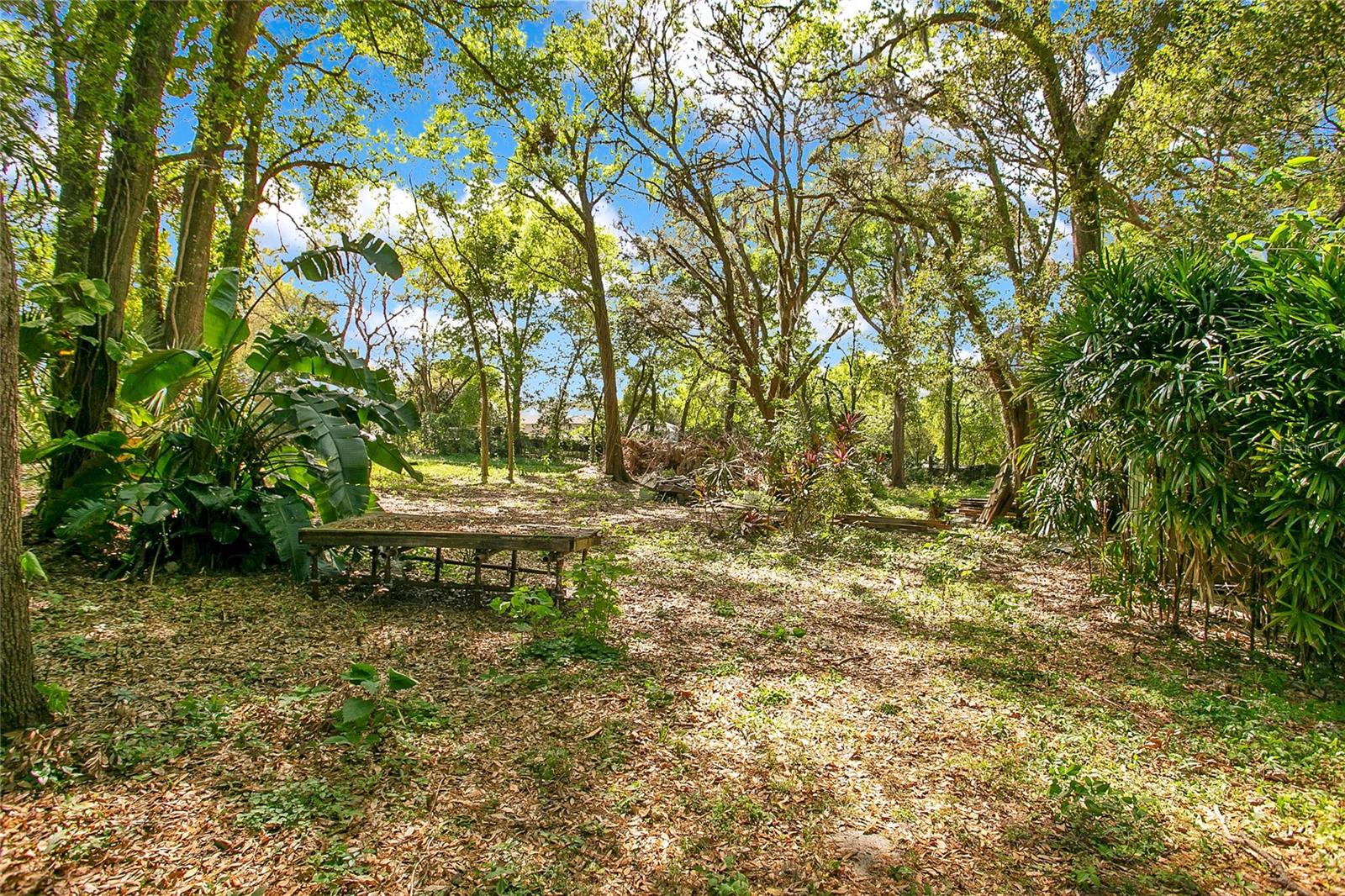 1120 SHEELER AVE, APOPKA, FL, 32703