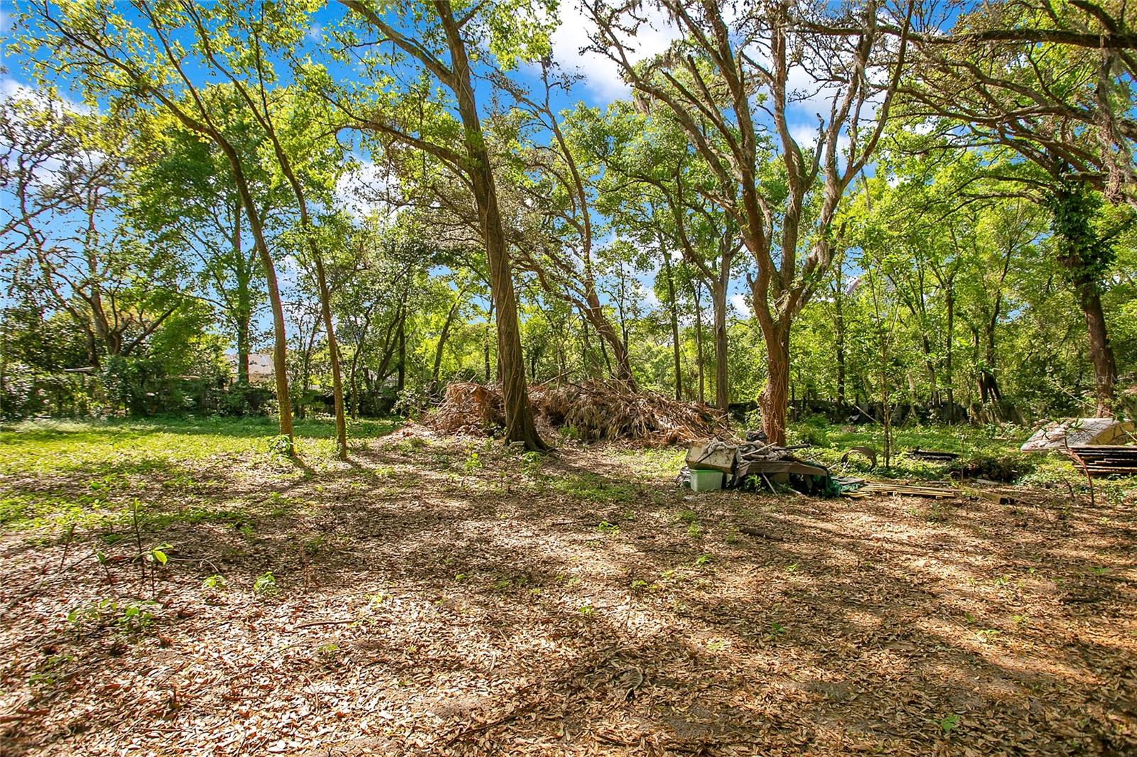 1120 SHEELER AVE, APOPKA, FL, 32703