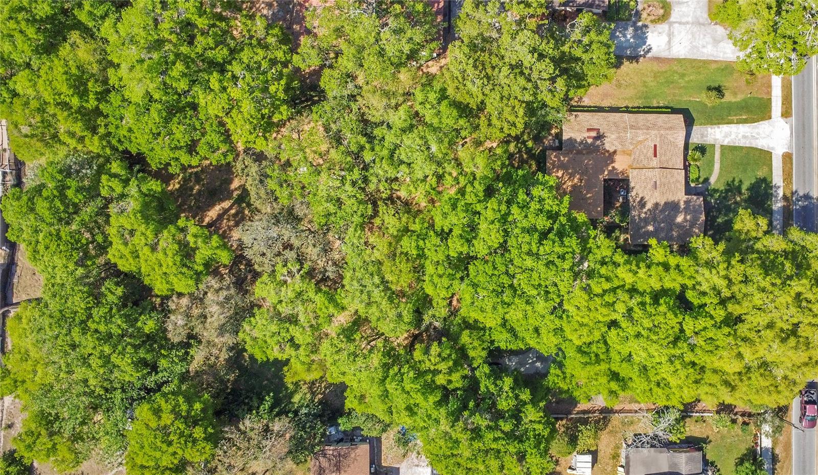 1120 SHEELER AVE, APOPKA, FL, 32703