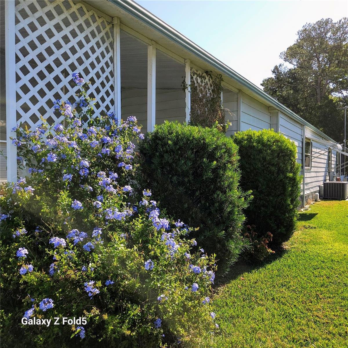 167 BONNIE DR, AUBURNDALE, FL, 33823