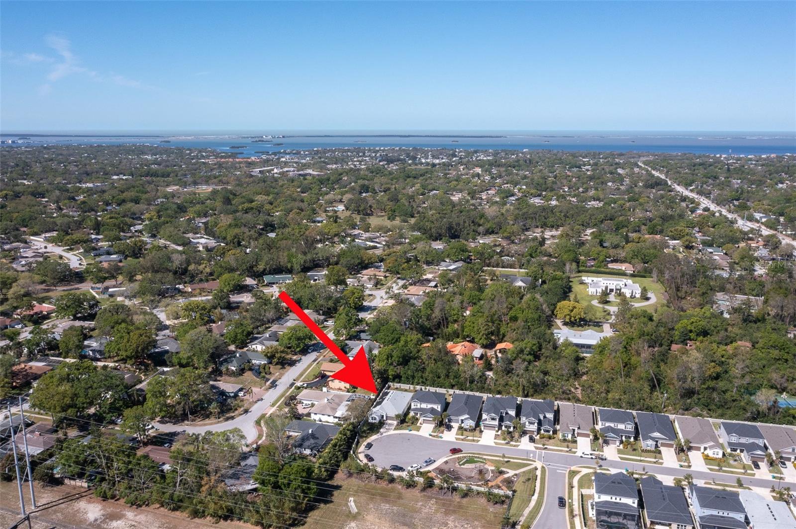 2516 LEAFWING CT, PALM HARBOR, FL, 34683