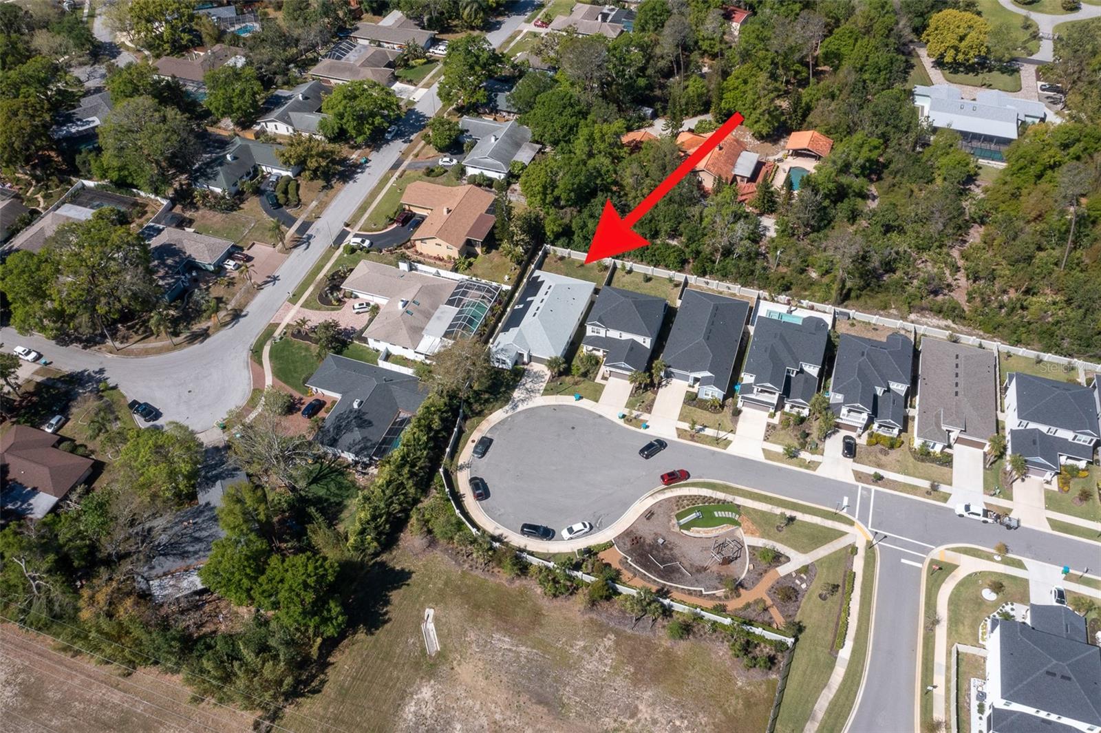 2516 LEAFWING CT, PALM HARBOR, FL, 34683