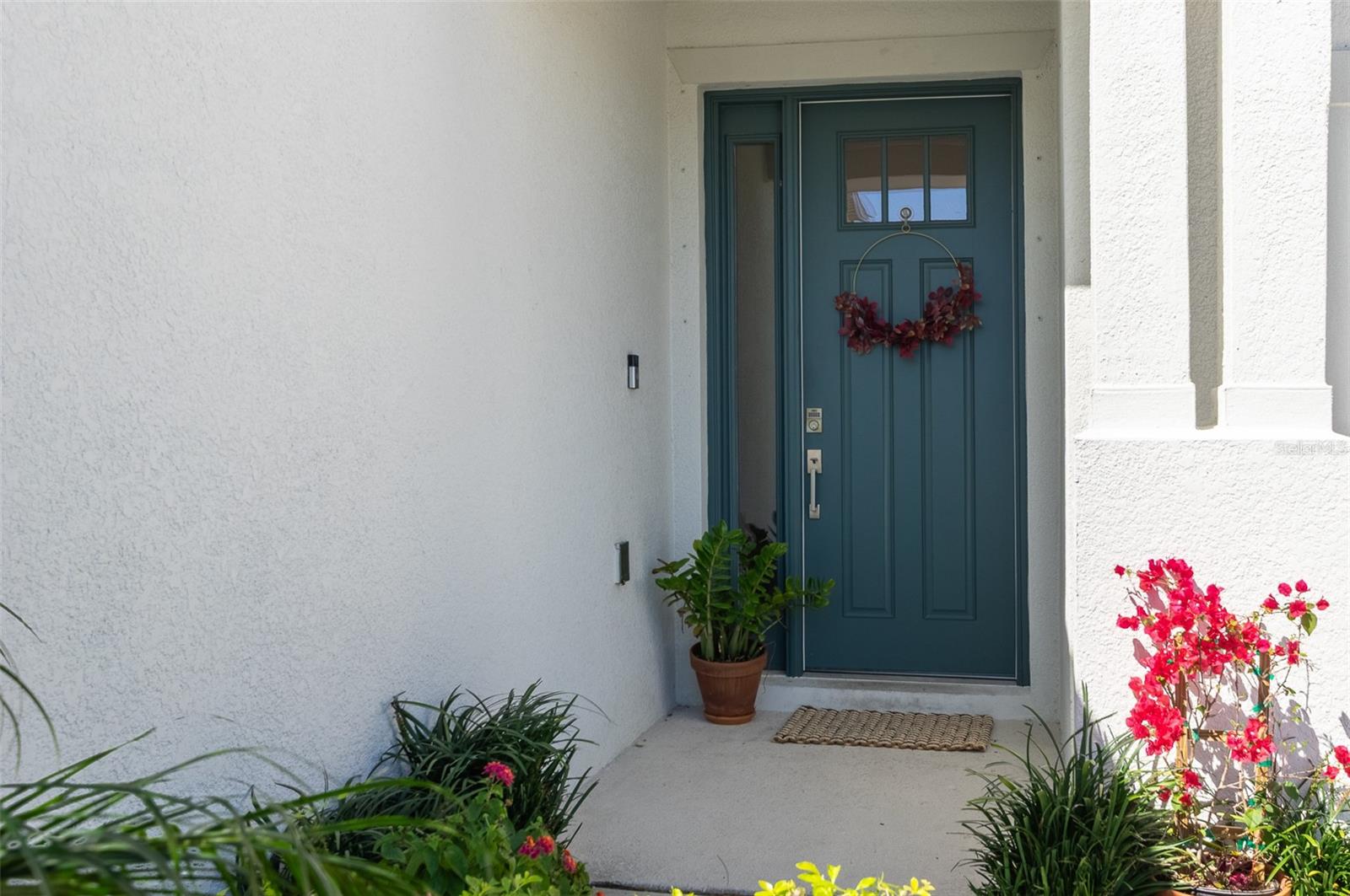 2516 LEAFWING CT, PALM HARBOR, FL, 34683
