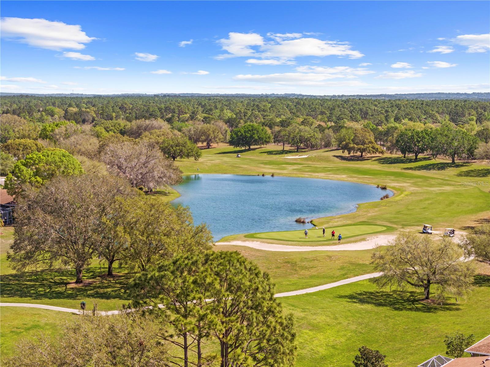 14471 STERLING RUN, SPRING HILL, FL, 34609