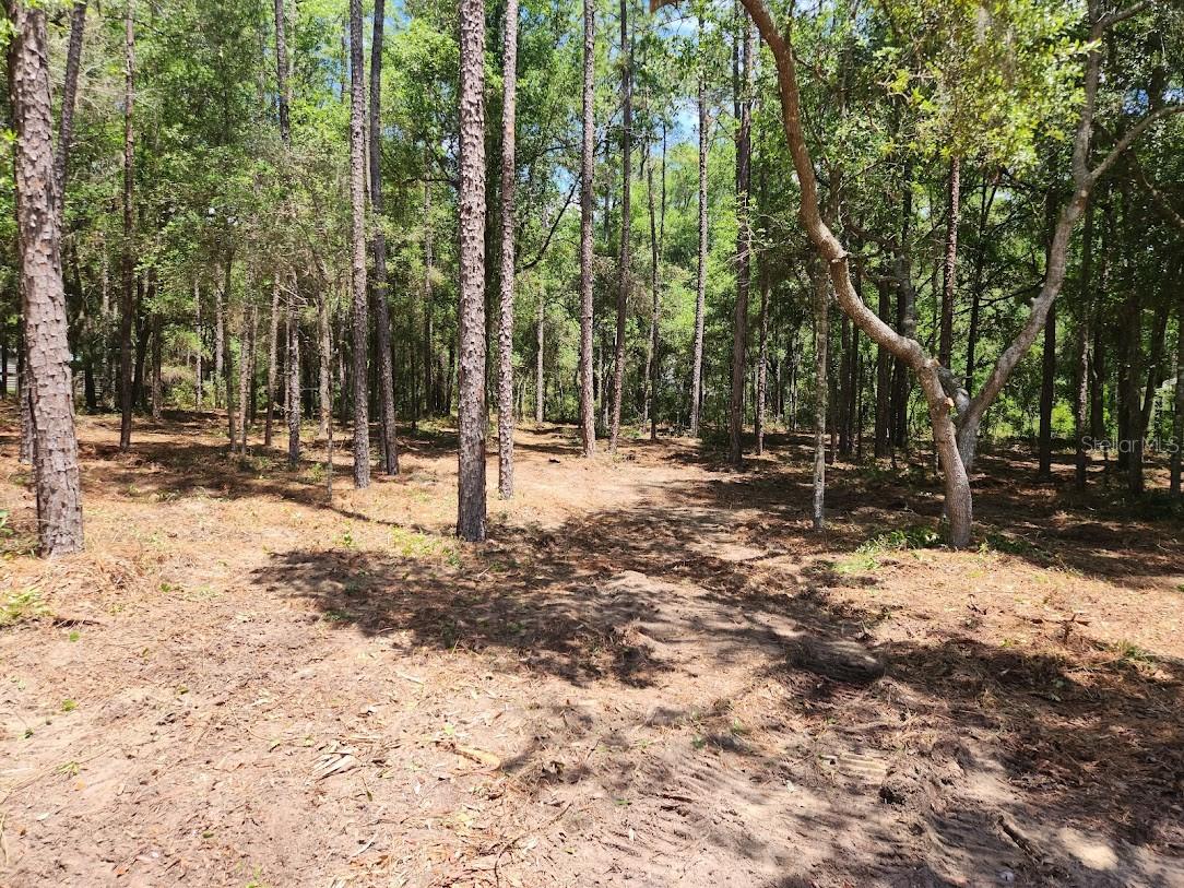 SW 51ST LN, OCALA, FL, 34481