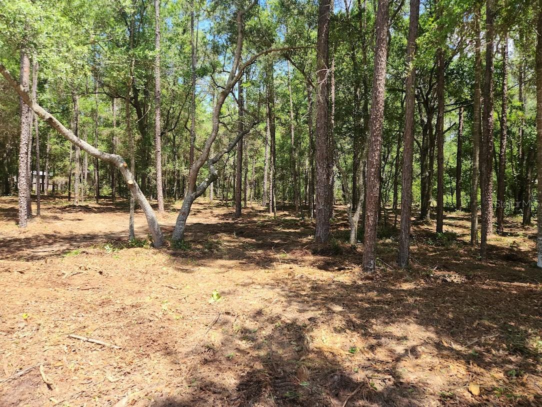 SW 51ST LN, OCALA, FL, 34481