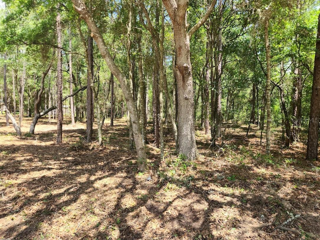 SW 51ST LN, OCALA, FL, 34481