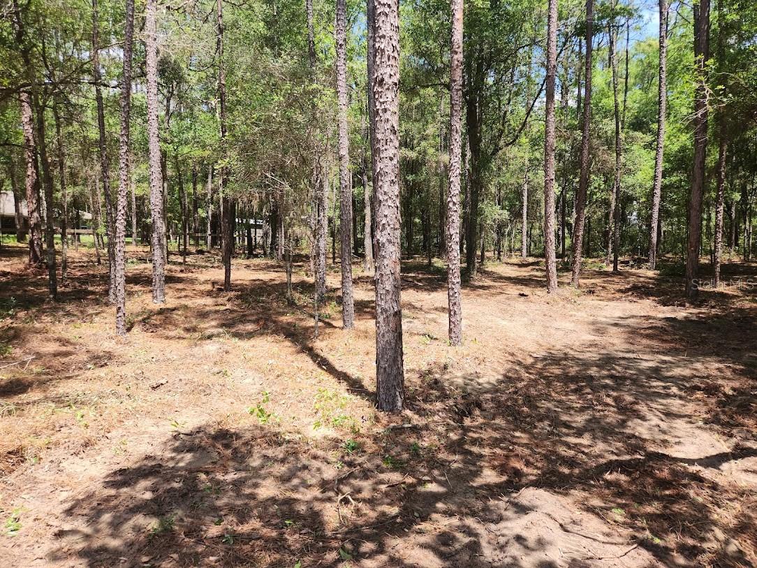 SW 51ST LN, OCALA, FL, 34481