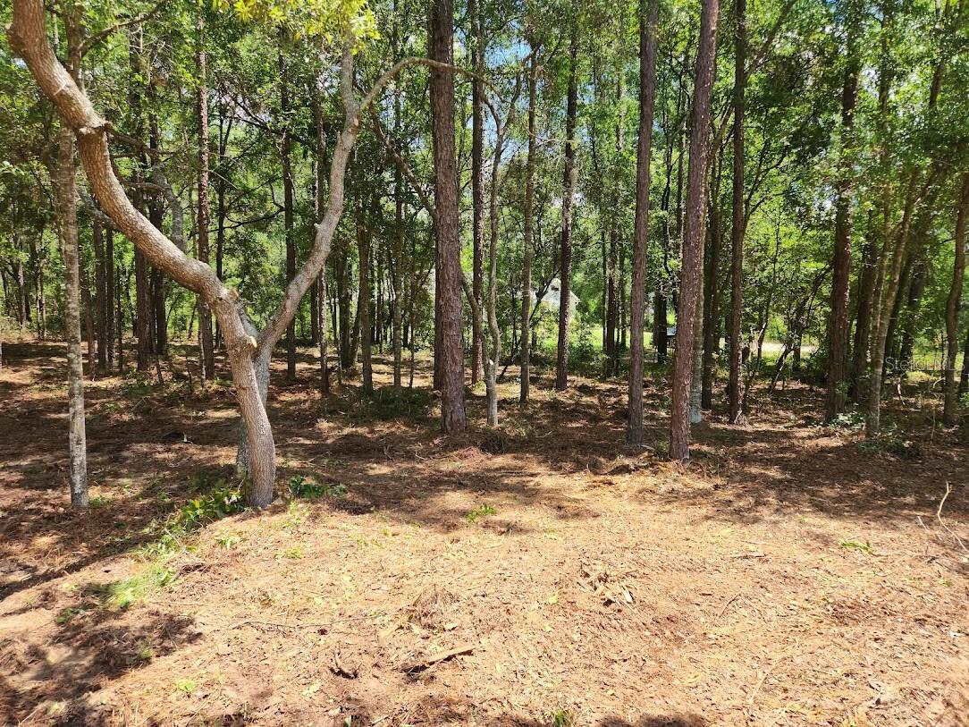 SW 51ST LN, OCALA, FL, 34481