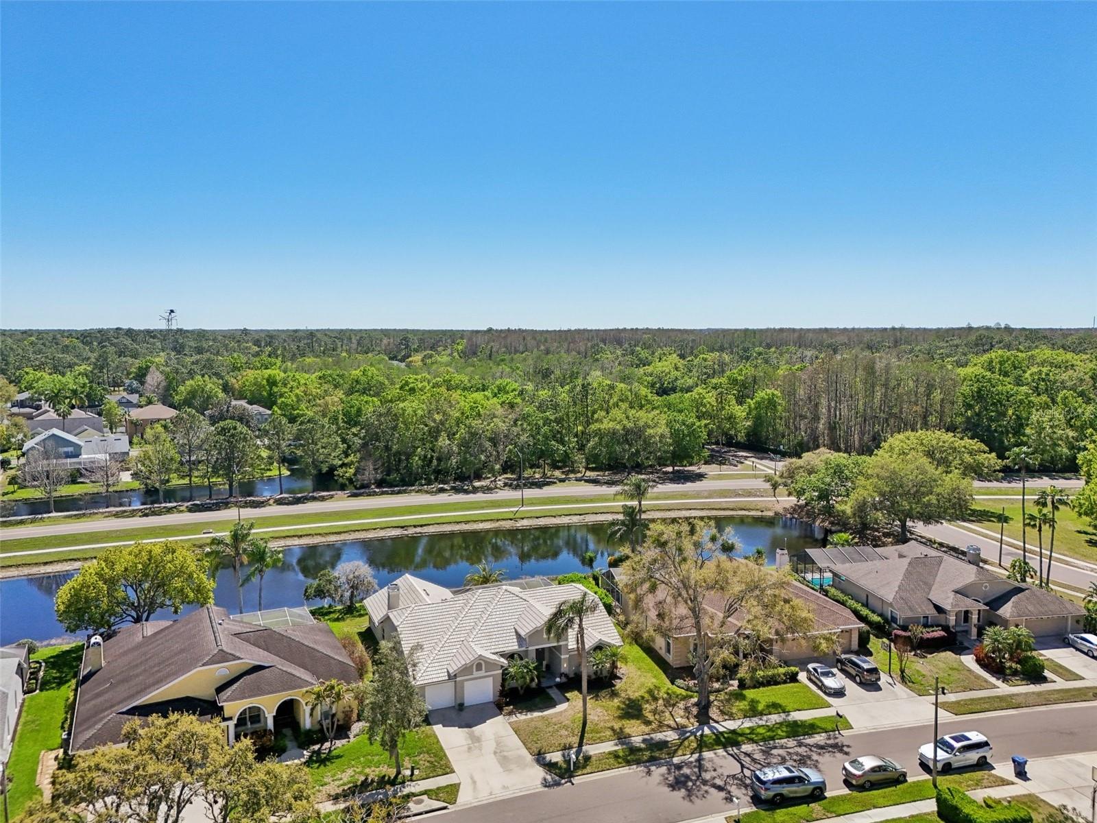 954 COBBLESTONE LN, TARPON SPRINGS, FL, 34688