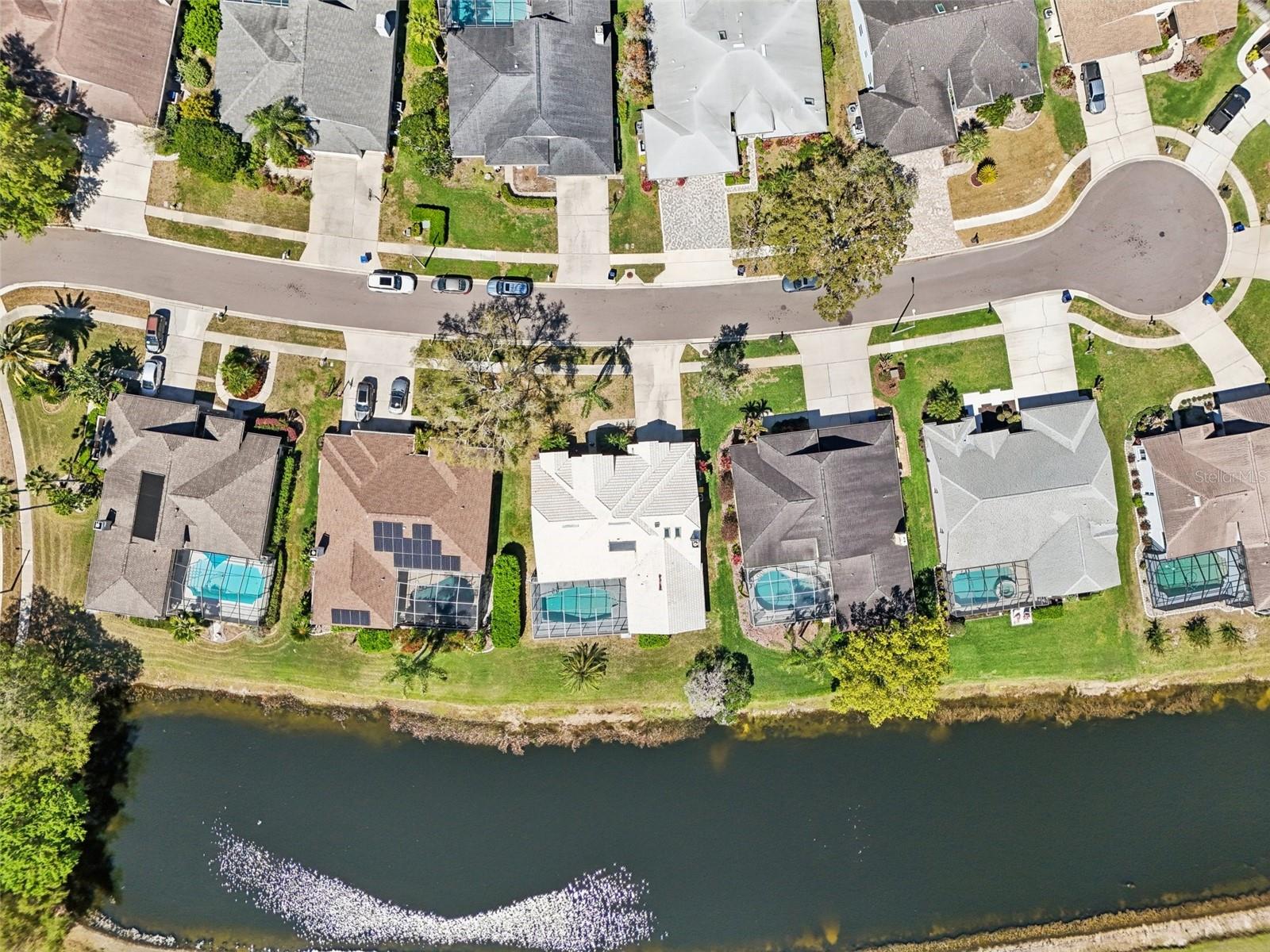 954 COBBLESTONE LN, TARPON SPRINGS, FL, 34688