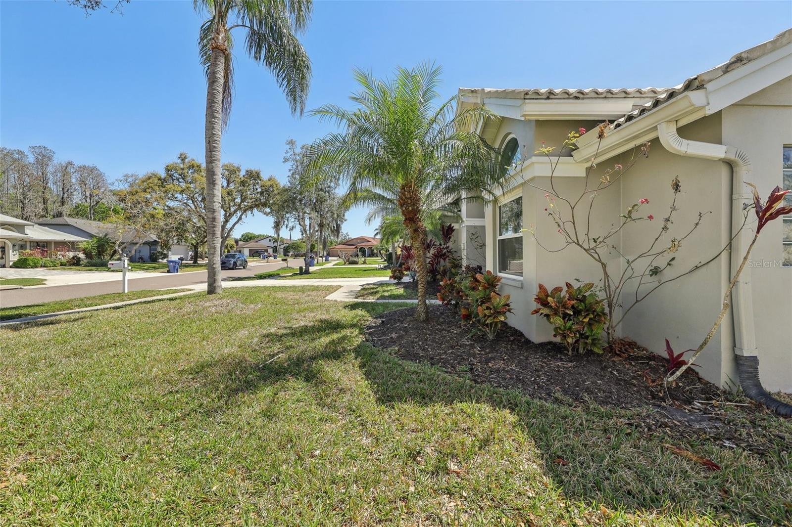 954 COBBLESTONE LN, TARPON SPRINGS, FL, 34688