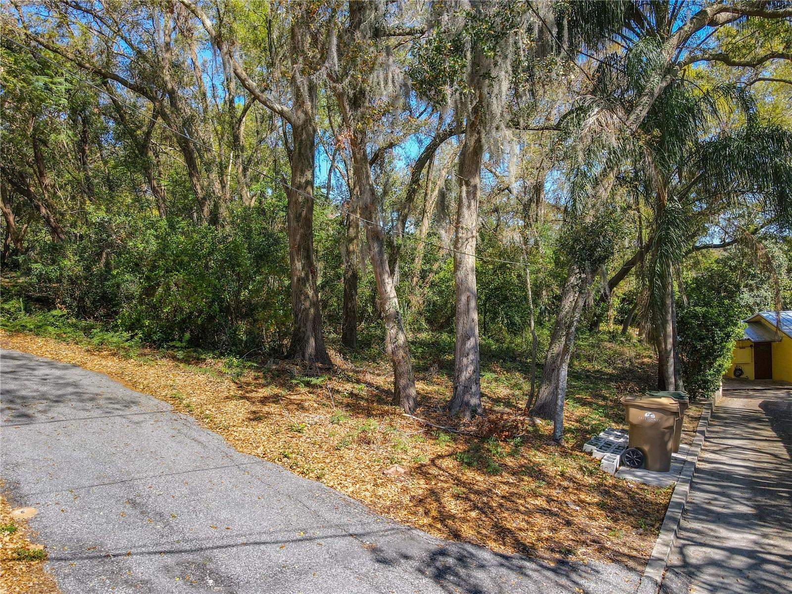 0 LAKE NETTIE CT, EUSTIS, FL, 32726