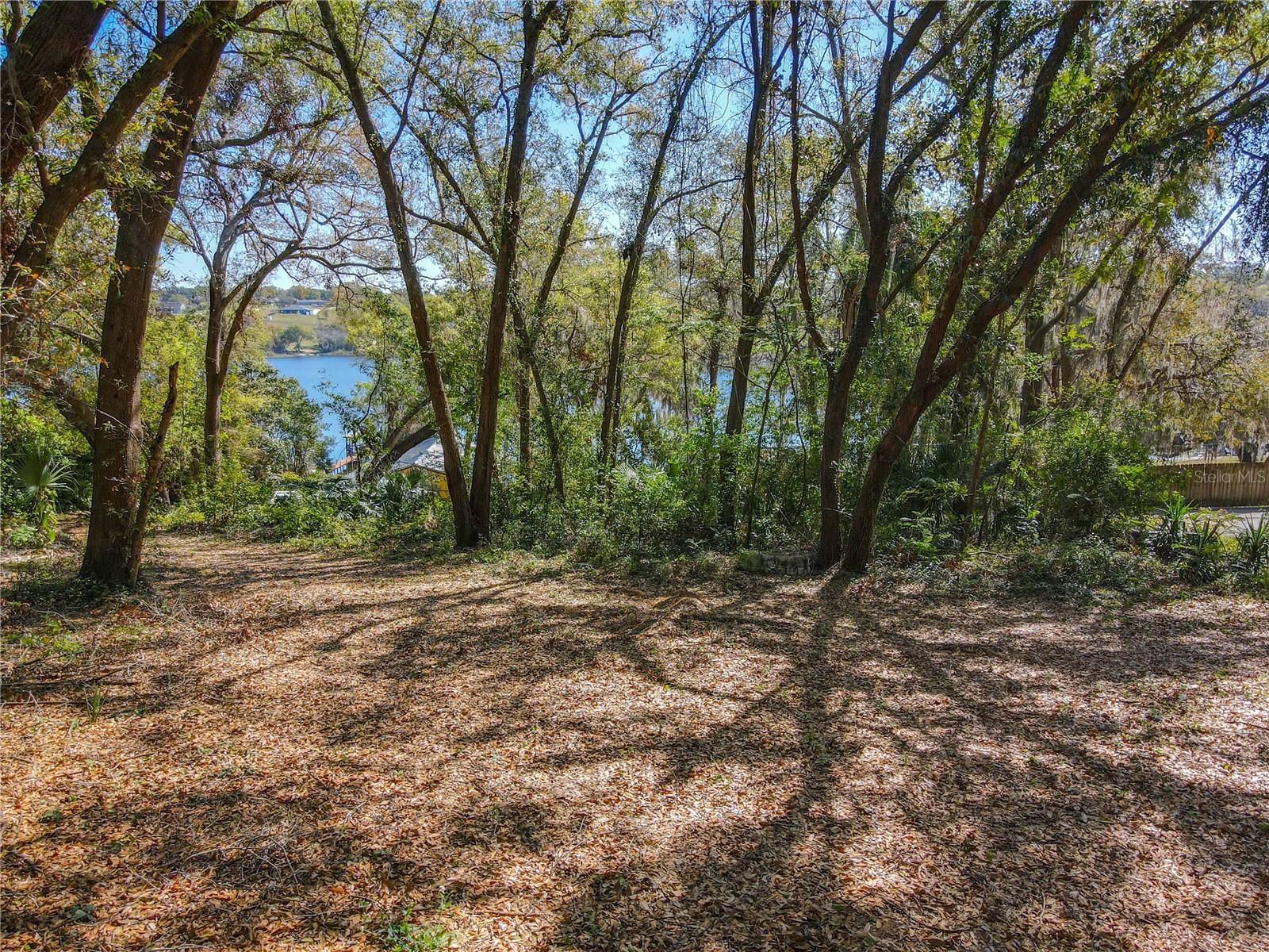 0 LAKE NETTIE CT, EUSTIS, FL, 32726