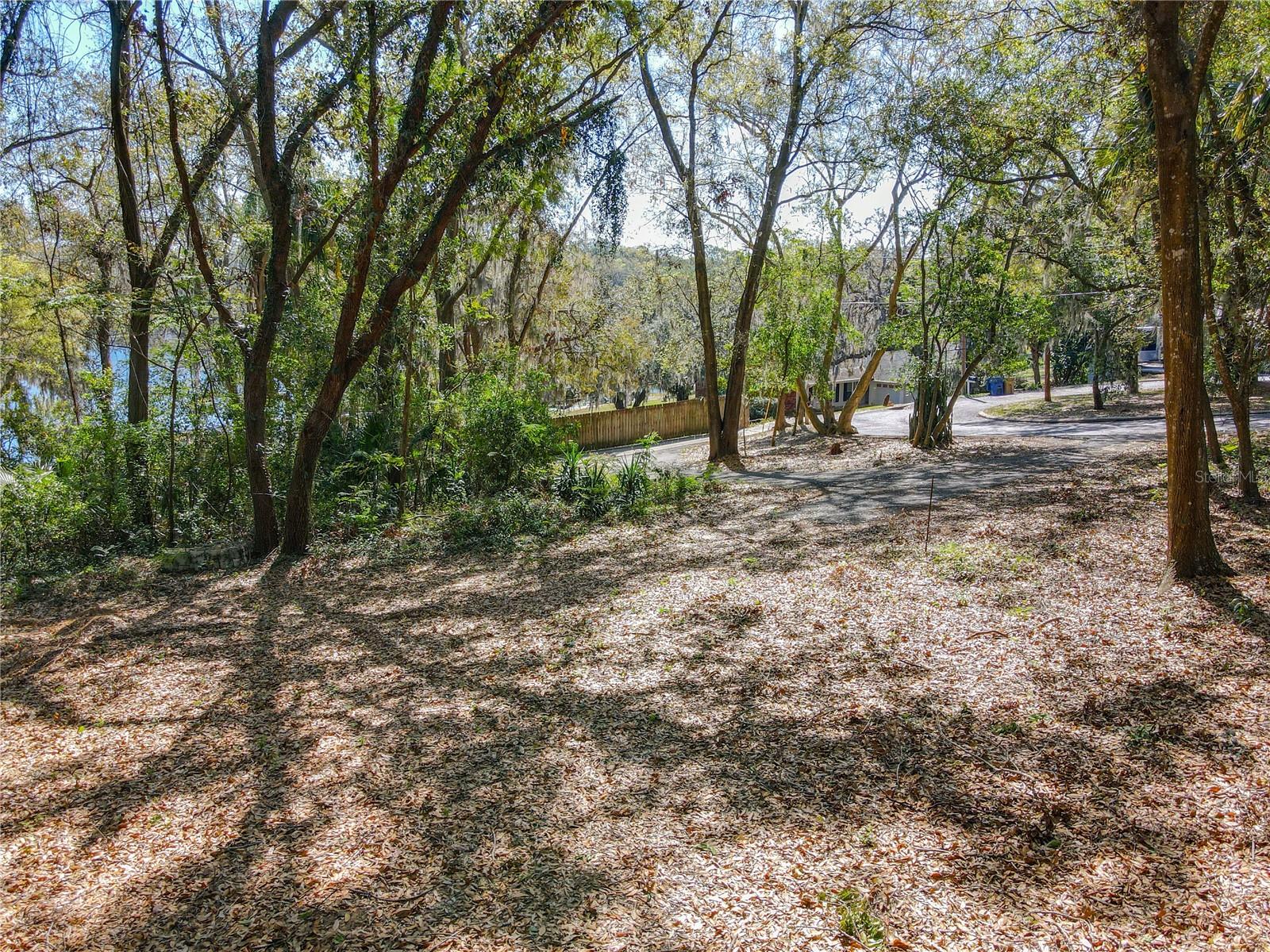 0 LAKE NETTIE CT, EUSTIS, FL, 32726