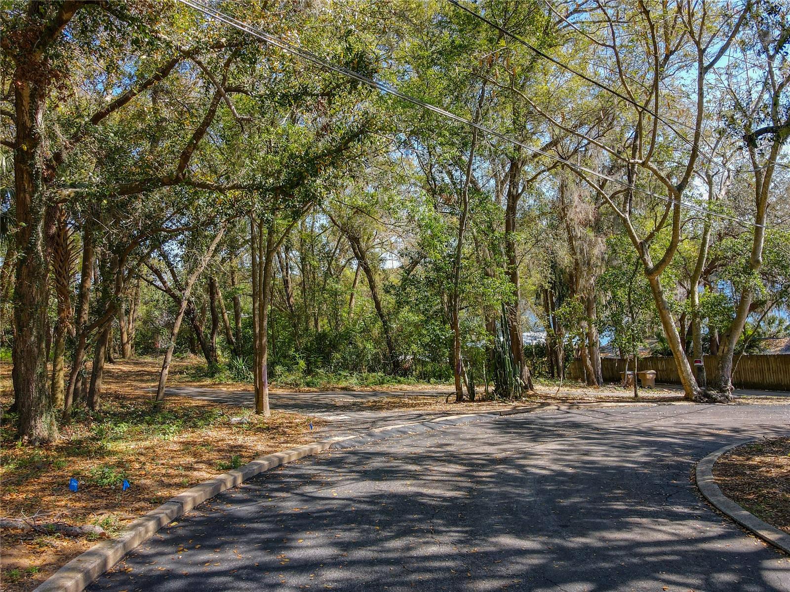 0 LAKE NETTIE CT, EUSTIS, FL, 32726