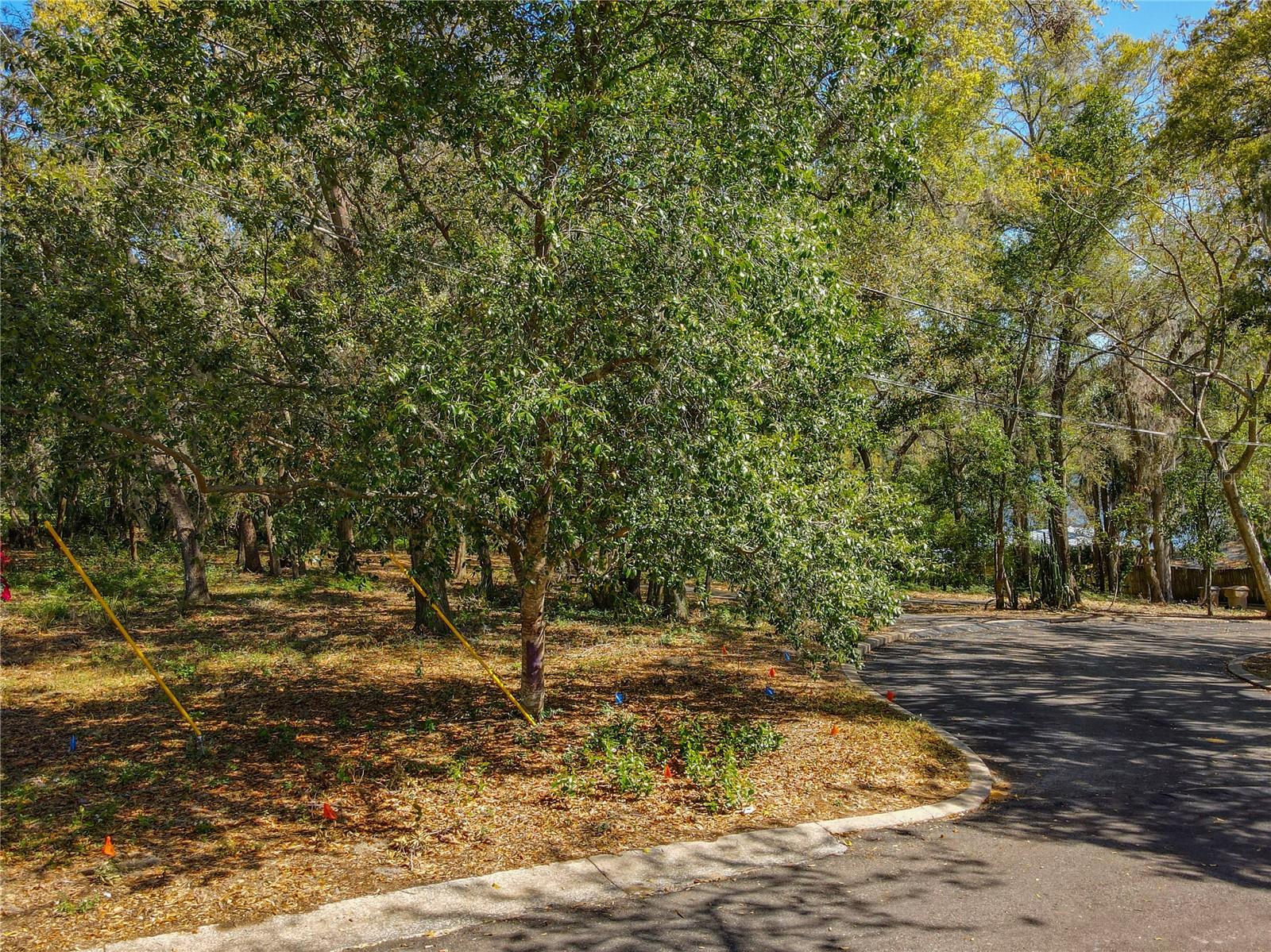 0 LAKE NETTIE CT, EUSTIS, FL, 32726