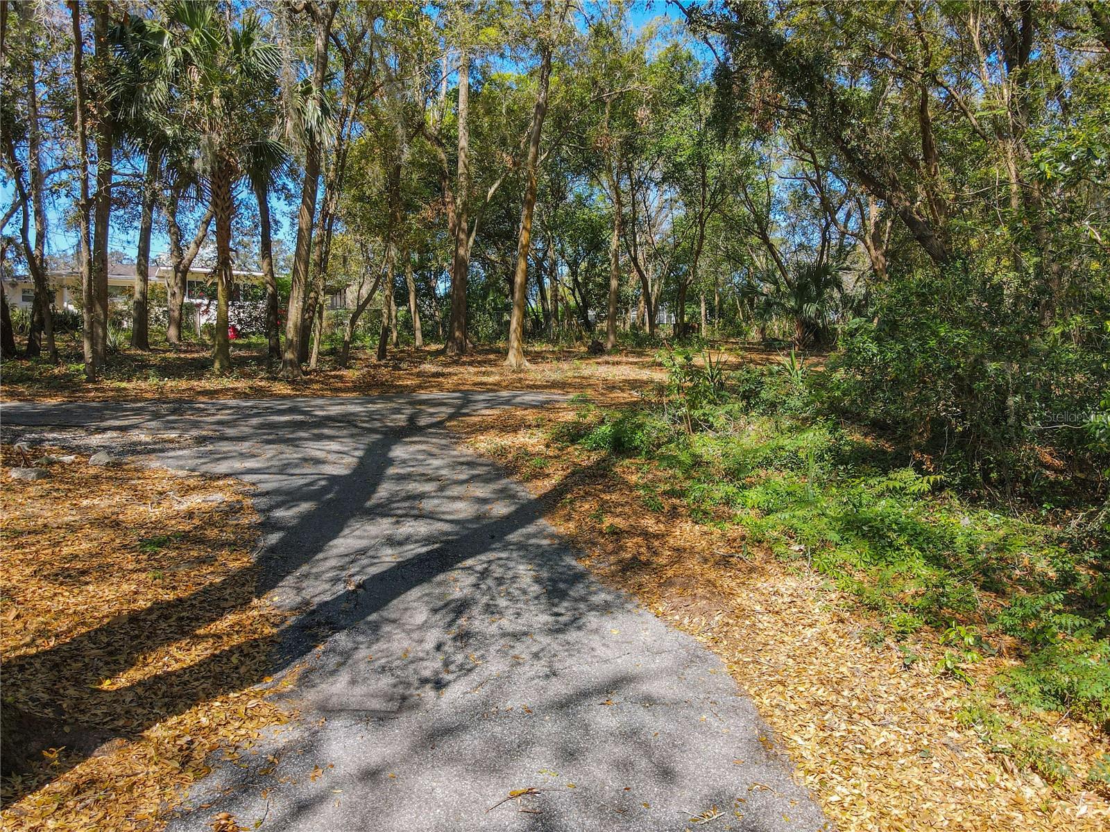 0 LAKE NETTIE CT, EUSTIS, FL, 32726