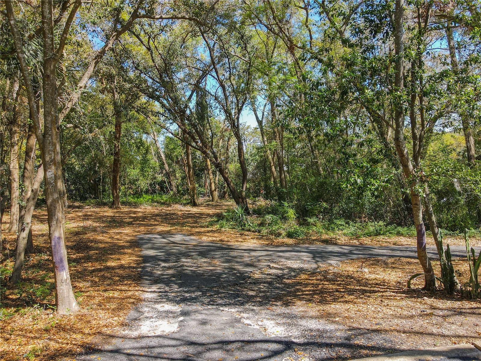 0 LAKE NETTIE CT, EUSTIS, FL, 32726