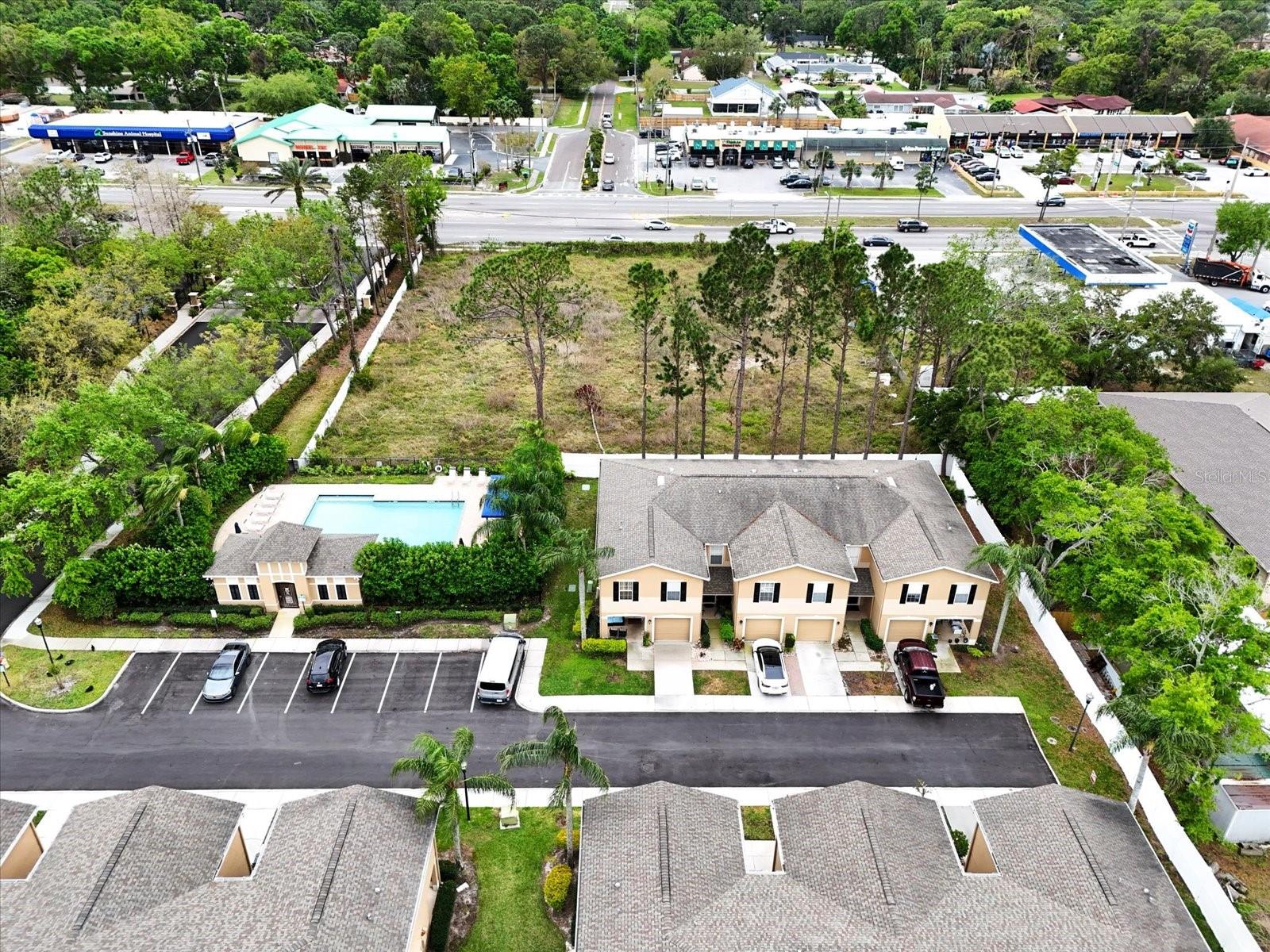 8012 SAVANNAH SUNSET LN, TAMPA, FL, 33615