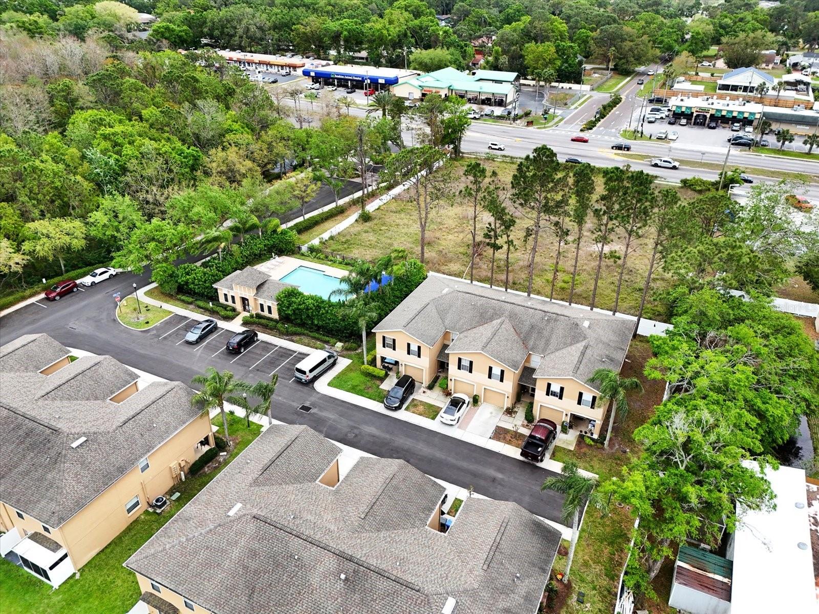 8012 SAVANNAH SUNSET LN, TAMPA, FL, 33615