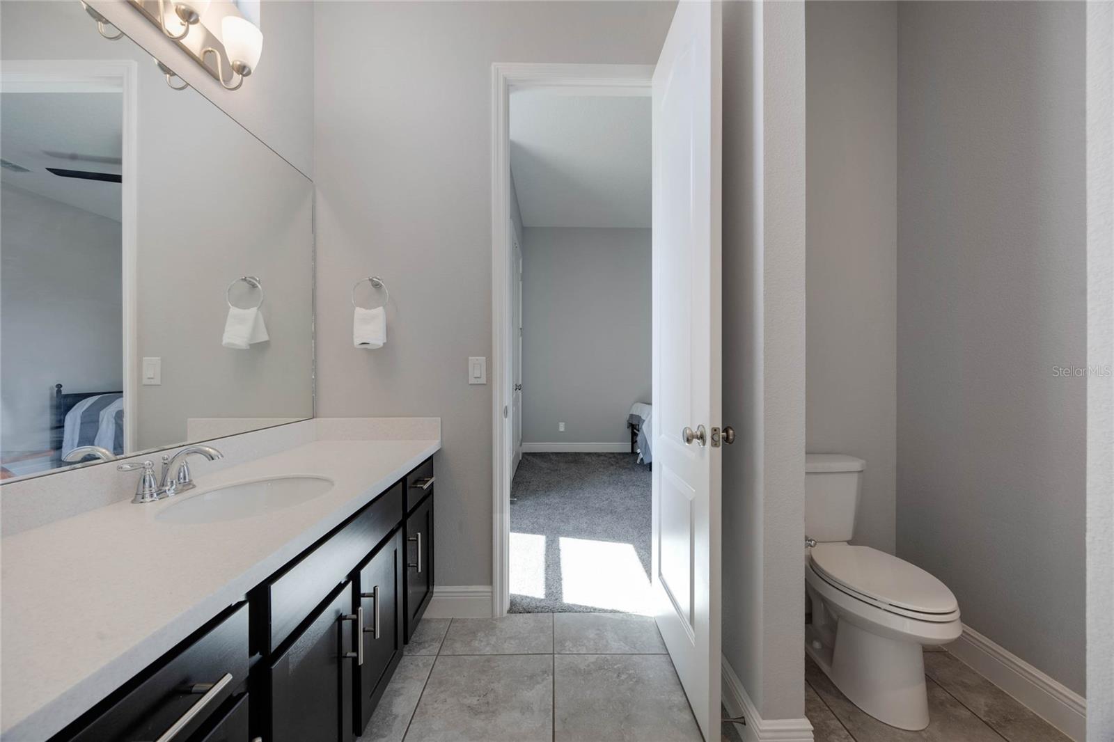 1009 BIRCH HOLLOW DR, APOPKA, FL, 32703