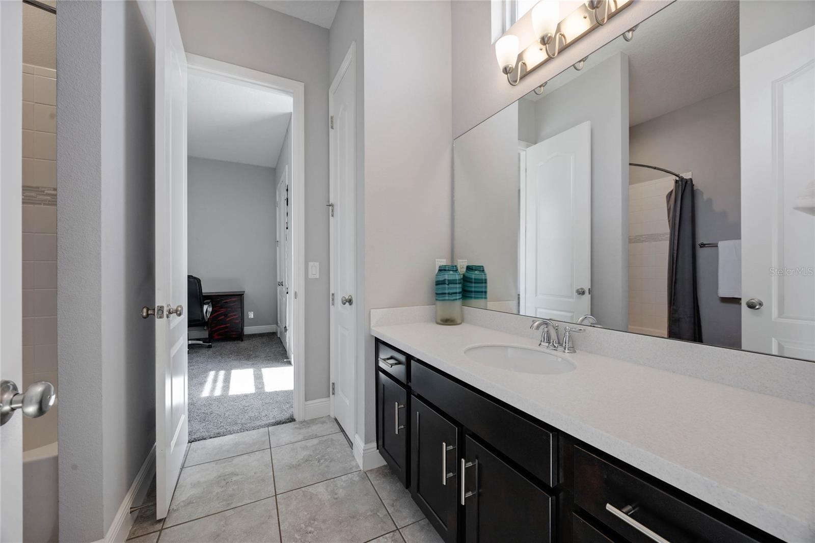 1009 BIRCH HOLLOW DR, APOPKA, FL, 32703