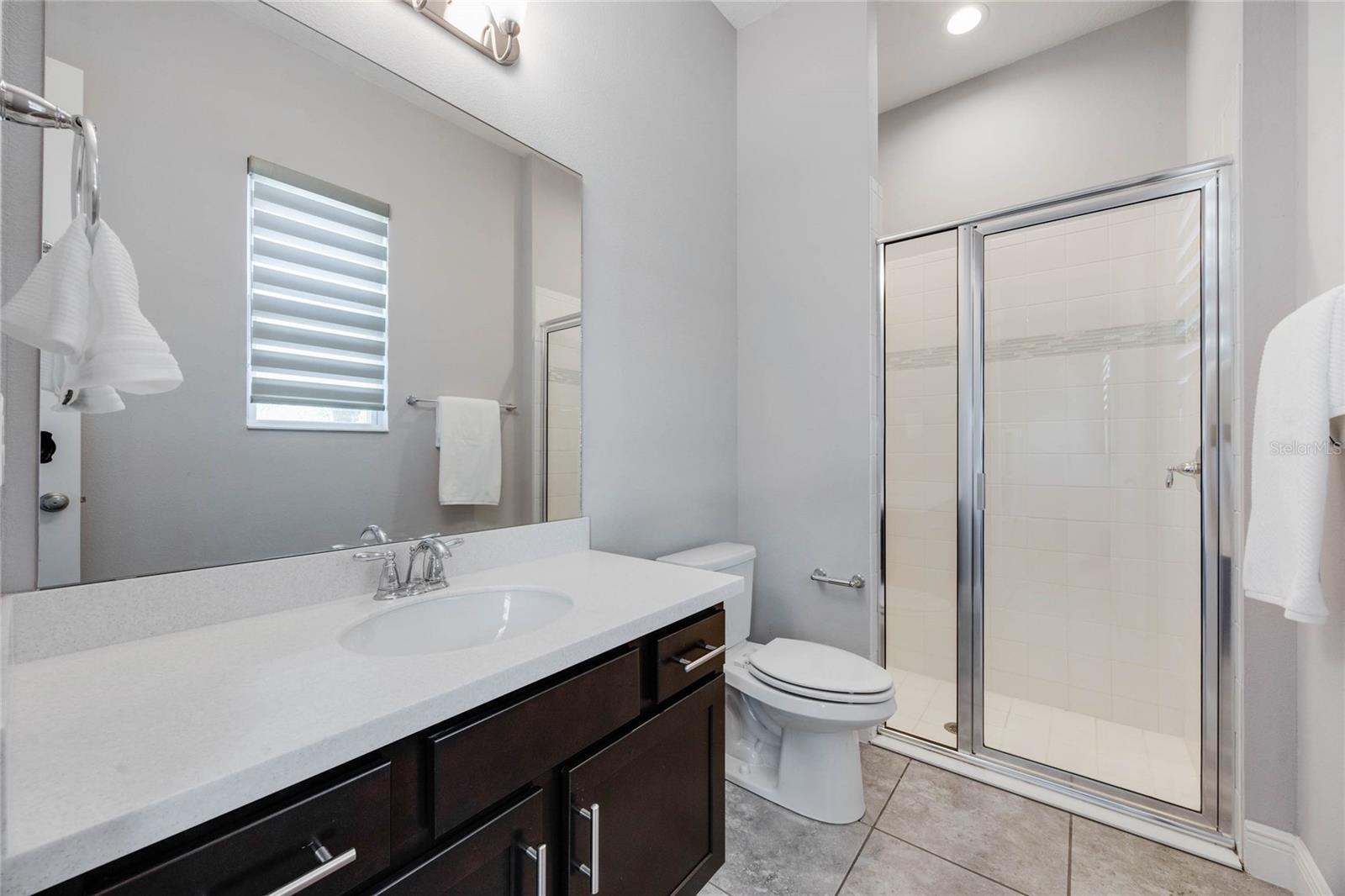 1009 BIRCH HOLLOW DR, APOPKA, FL, 32703