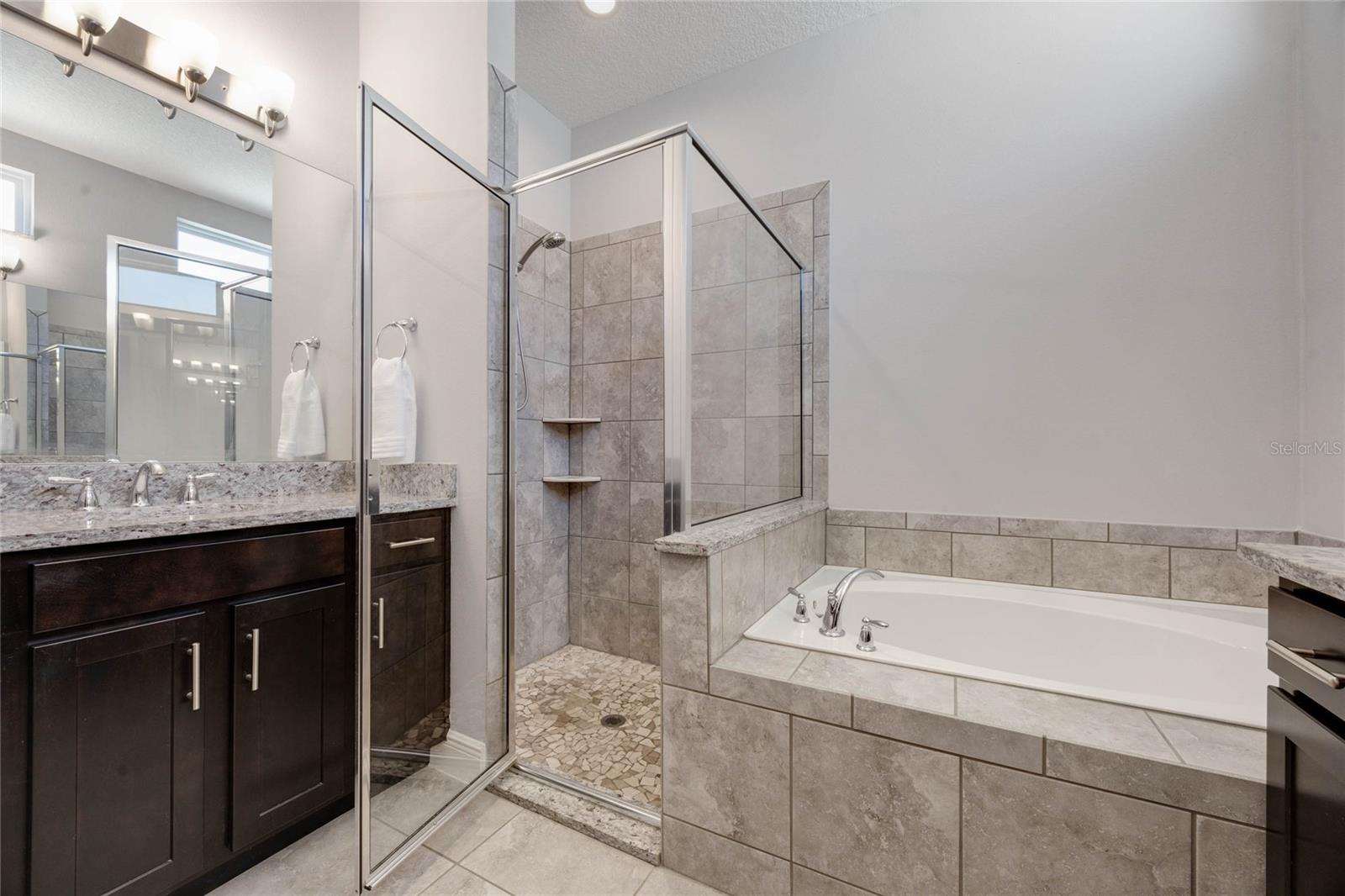 1009 BIRCH HOLLOW DR, APOPKA, FL, 32703
