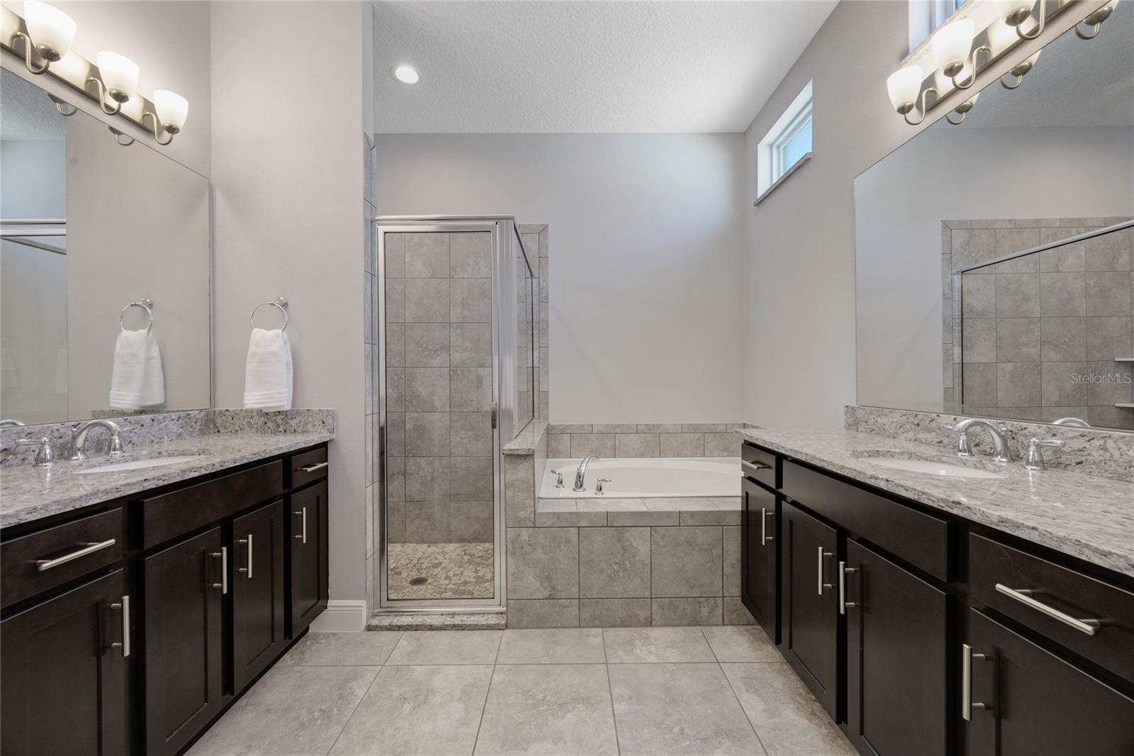 1009 BIRCH HOLLOW DR, APOPKA, FL, 32703