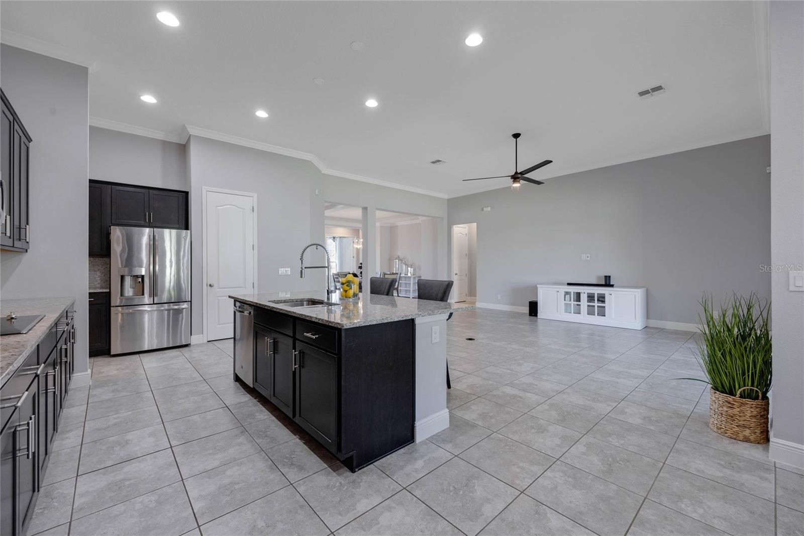 1009 BIRCH HOLLOW DR, APOPKA, FL, 32703
